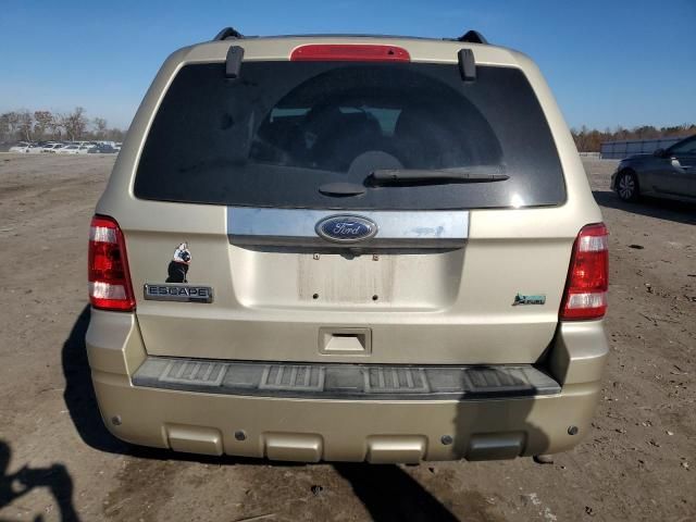 2011 Ford Escape Limited