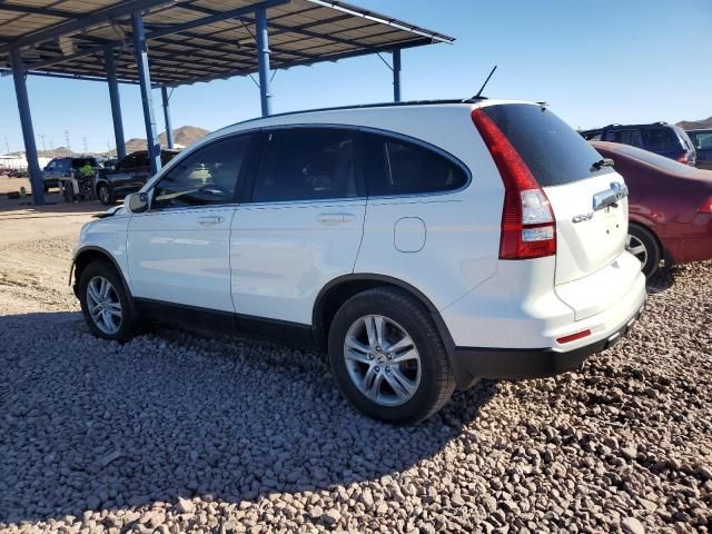 2010 Honda CR-V EXL