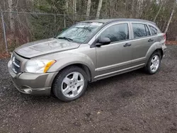 Salvage cars for sale at Cookstown, ON auction: 2008 Dodge Caliber SXT