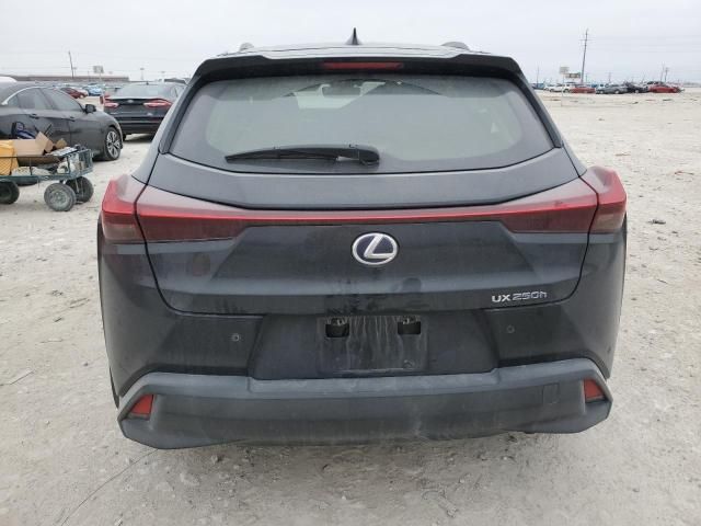 2019 Lexus UX 250H