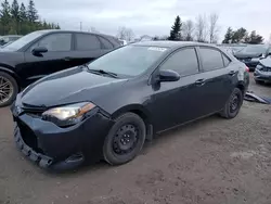 Carros con verificación Run & Drive a la venta en subasta: 2017 Toyota Corolla L