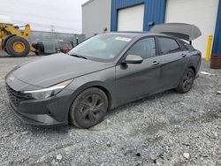 Salvage cars for sale at Elmsdale, NS auction: 2023 Hyundai Elantra SEL