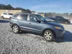 2007 Hyundai Santa FE SE