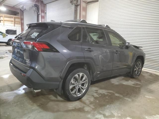 2024 Toyota Rav4 XLE Premium