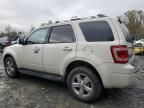 2010 Ford Escape Limited