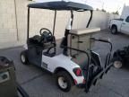 2023 Golf Cart