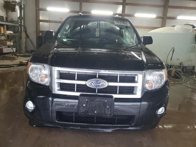 2009 Ford Escape XLT