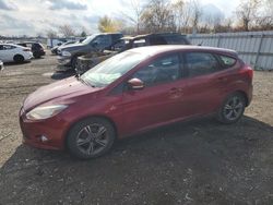 Salvage cars for sale from Copart London, ON: 2014 Ford Focus SE