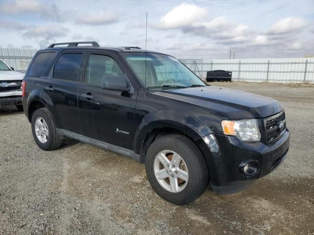 2009 Ford Escape Hybrid