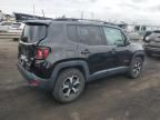 2019 Jeep Renegade Trailhawk