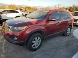 Salvage cars for sale at Madisonville, TN auction: 2011 KIA Sorento Base