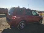 2009 Ford Escape Limited