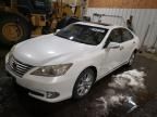 2011 Lexus ES 350