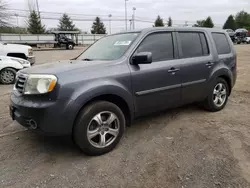 2014 Honda Pilot EXL en venta en Finksburg, MD