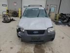 2007 Ford Escape XLS