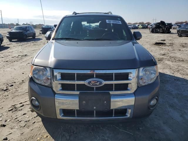 2011 Ford Escape Limited