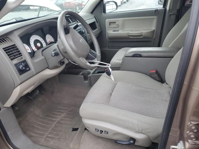 2010 Dodge Dakota SXT