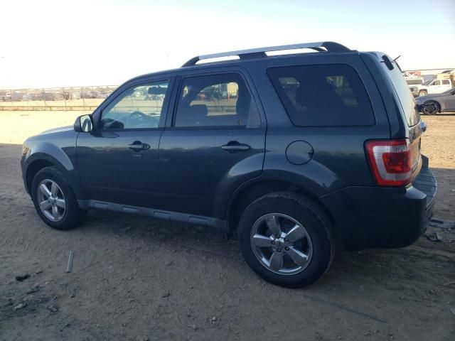 2009 Ford Escape Limited