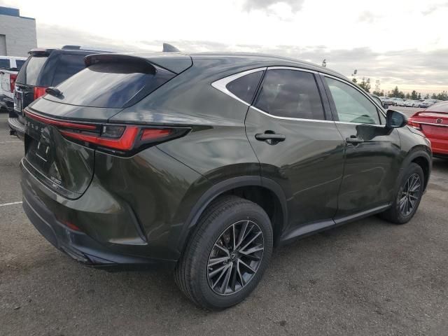 2023 Lexus NX 350