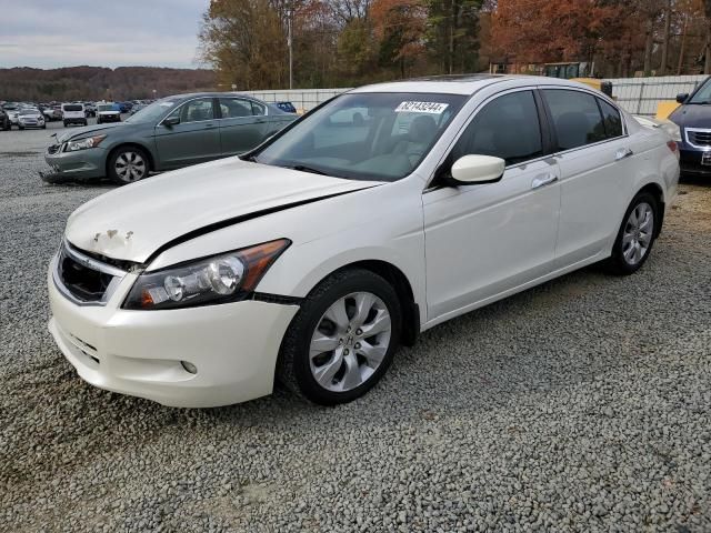 2010 Honda Accord EXL