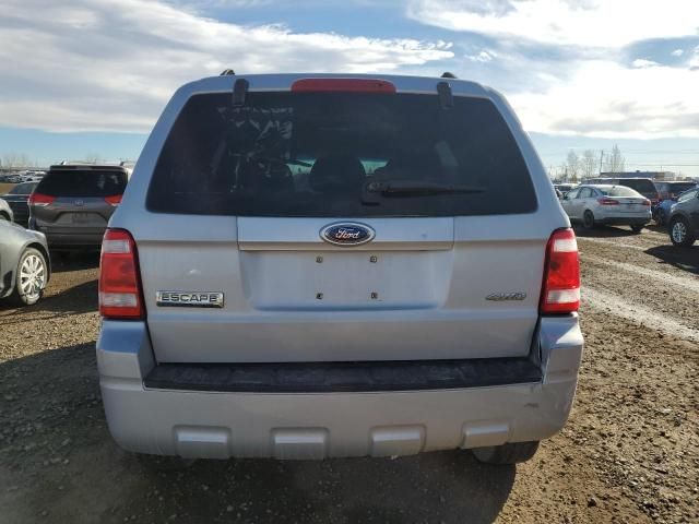 2008 Ford Escape XLT