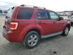 2010 Ford Escape Limited