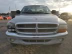 1999 Dodge Dakota