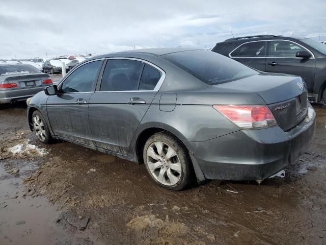 2010 Honda Accord LXP