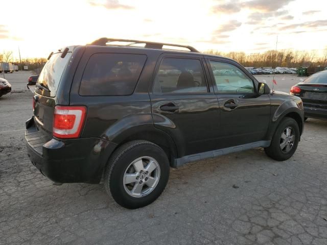 2011 Ford Escape XLT