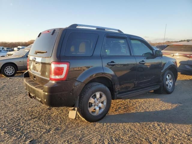 2011 Ford Escape Limited