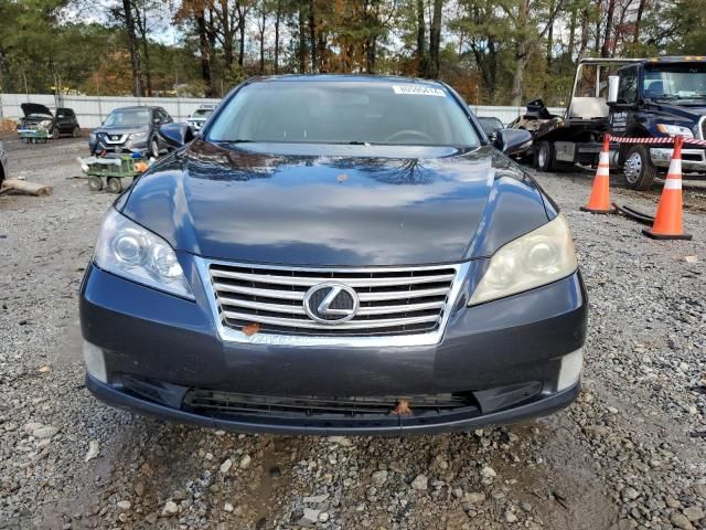 2010 Lexus ES 350