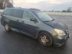 2006 Honda Odyssey EXL