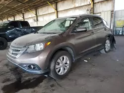 Salvage cars for sale at Phoenix, AZ auction: 2012 Honda CR-V EXL