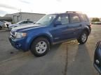 2008 Ford Escape HEV