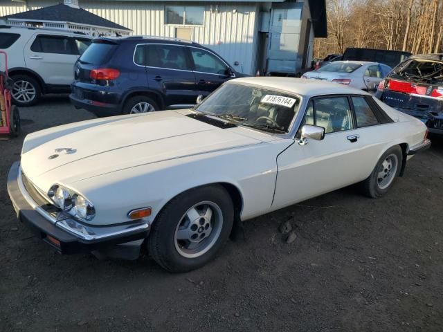 1982 Jaguar XJS