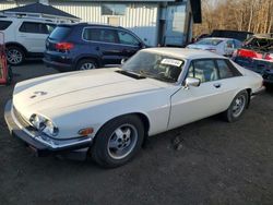 Jaguar Vehiculos salvage en venta: 1982 Jaguar XJS