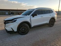 Salvage cars for sale at Andrews, TX auction: 2025 Honda CR-V Sport