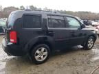 2009 Honda Pilot EXL