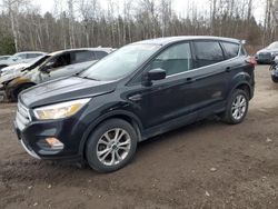 2019 Ford Escape SE en venta en Cookstown, ON