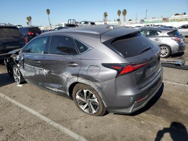 2019 Lexus NX 300H