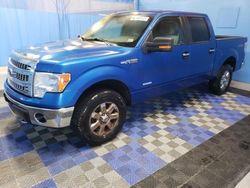 Salvage cars for sale at Hampton, VA auction: 2014 Ford F150 Supercrew