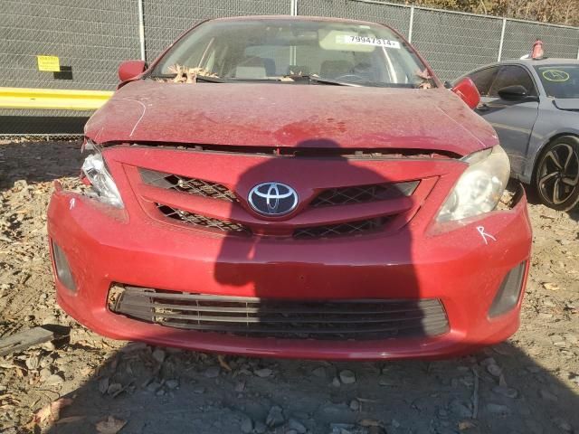 2011 Toyota Corolla Base