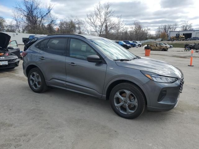 2024 Ford Escape ST Line