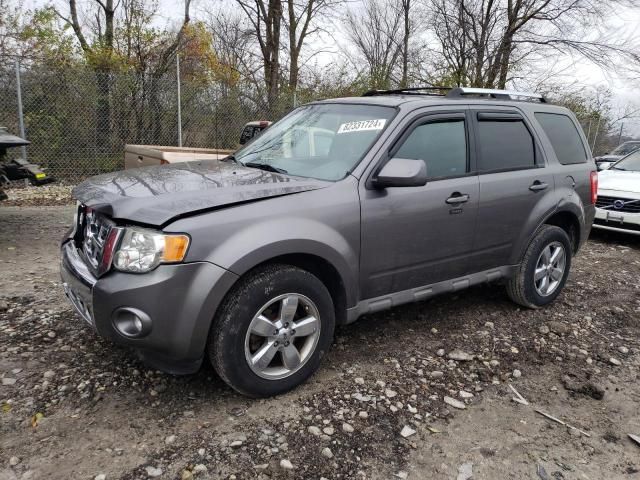 2009 Ford Escape Limited