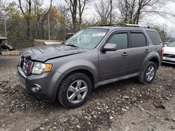 Salvage cars for sale from Copart Cicero, IN: 2009 Ford Escape Limited