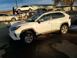 2024 Toyota Rav4 XLE en venta en Albuquerque, NM