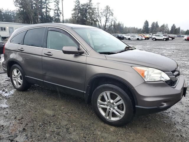 2010 Honda CR-V EXL