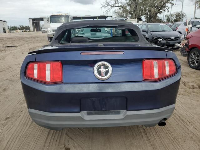 2010 Ford Mustang