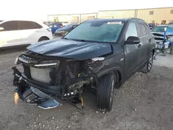 Salvage cars for sale at Kansas City, KS auction: 2023 KIA Seltos EX