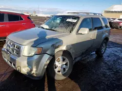 2010 Ford Escape Limited en venta en Brighton, CO